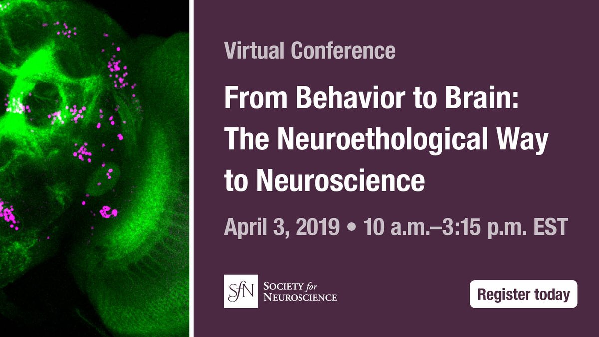 Society for Neuroscience Meetings