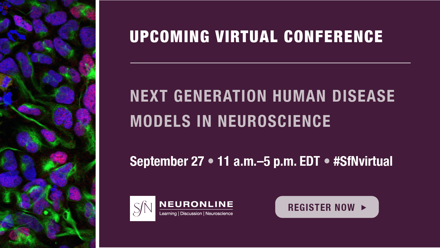 Society for Neuroscience Membership