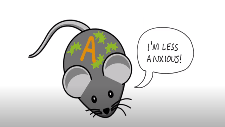 Mouse with word bubble