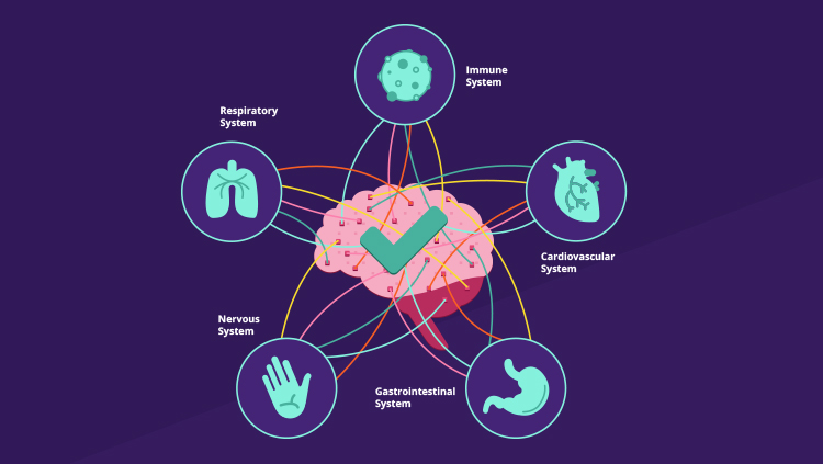 https://www.sfn.org/-/media/Brainfacts2/Core-Concepts/Interactives-Thumbnails/BrainFacts-Thumbnails-CC1.jpg