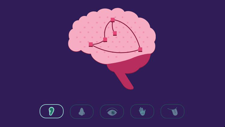 https://www.sfn.org/-/media/Brainfacts2/Core-Concepts/Interactives-Thumbnails/CC-2-new.jpg