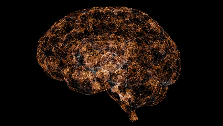 Orange brain on black background