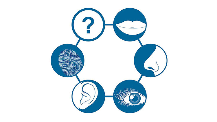 Icons of the senses in the body