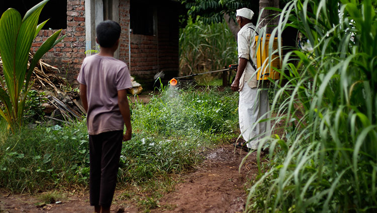 Little boy watching pesticides sprayed on plants