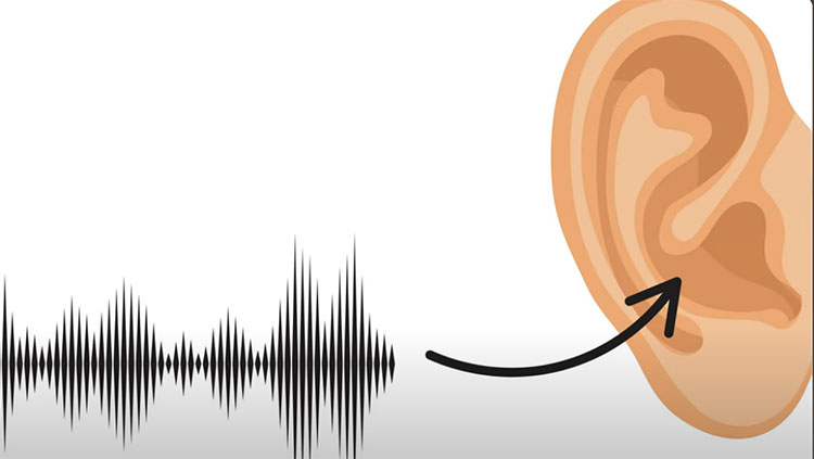 Soundwaves going into ear
