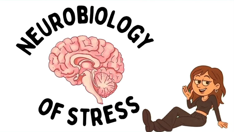 Neurobiology of stress