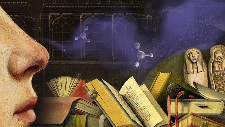 A nose and books 