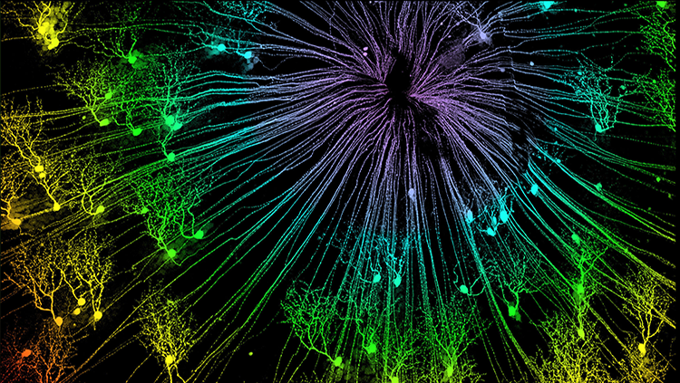colorful retina fireworks thumbnail