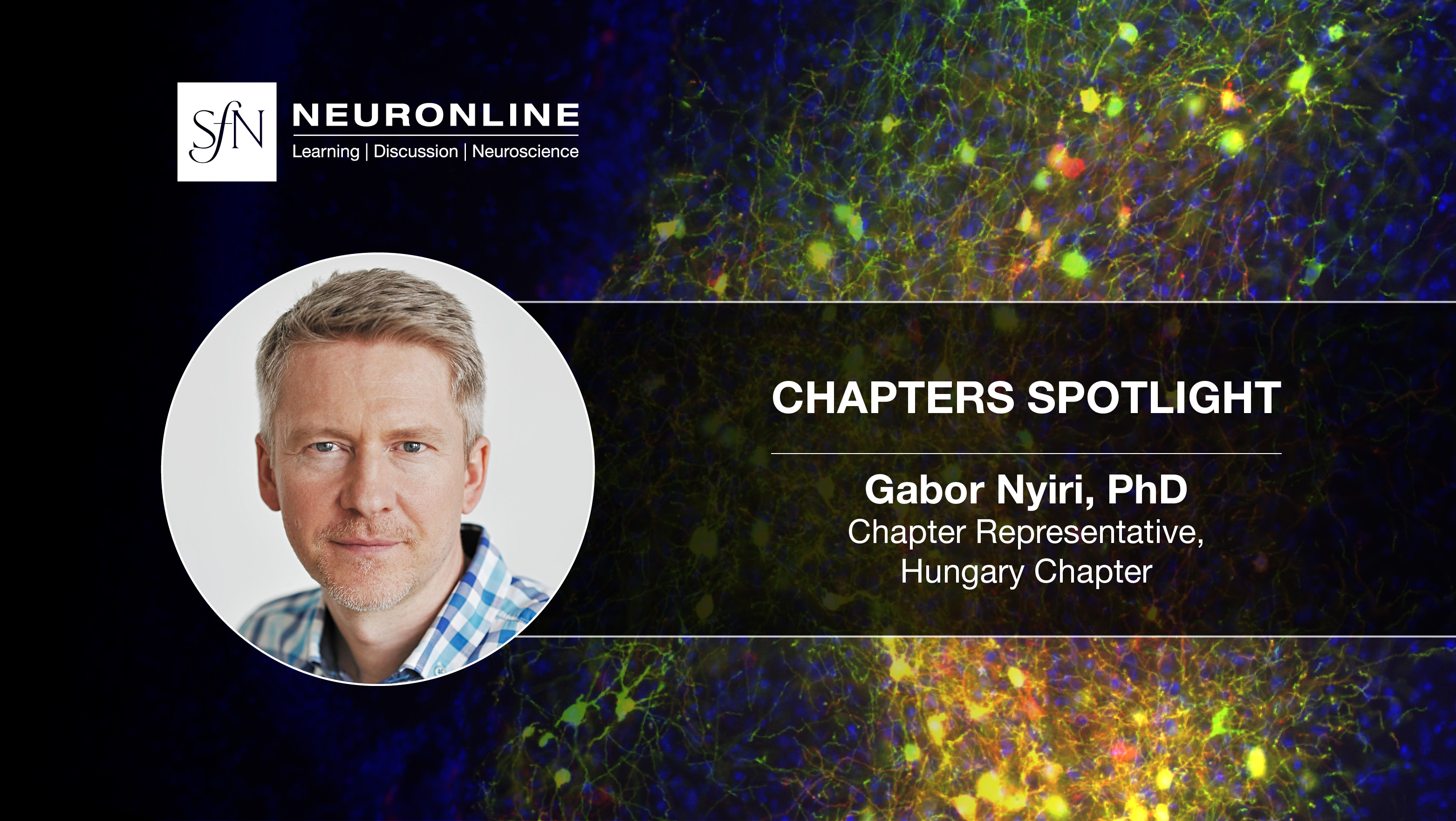 Chapters Spotlight Gabor Nyiri thumbnail