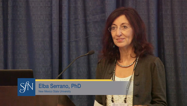 Elba Serrano speaks at the NSP mentoring breakfast in 2018