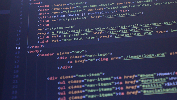 数据和编码。图片由Bibek ghosh