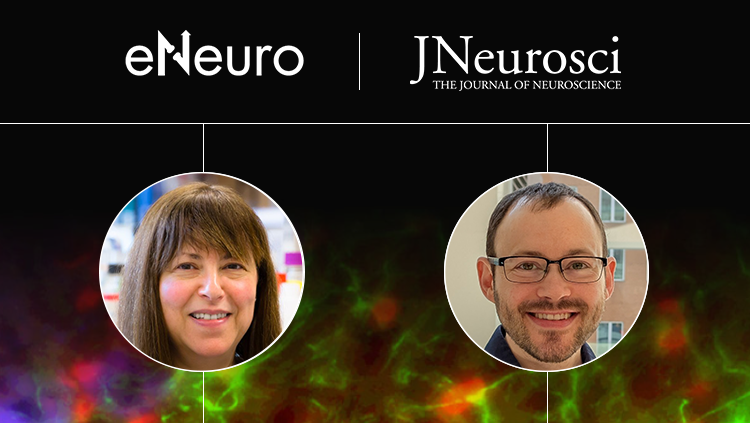 Development of Cortical Somatostatin Innervation thumbnail with speaker headshots