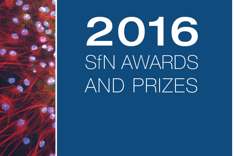 SfN Awards and Prizes