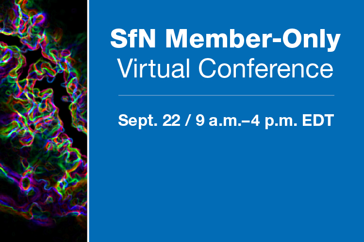 Virtual Conference