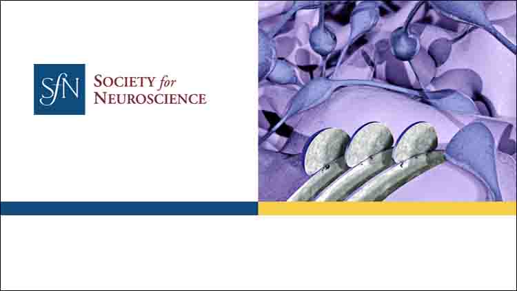 SfN logo