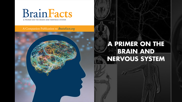 Brainfacts Book