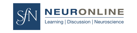 Neuronline logo