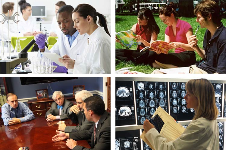 Neuroscientists can pursue many careers including academia, science publishing, advocacy, and clinical work.
