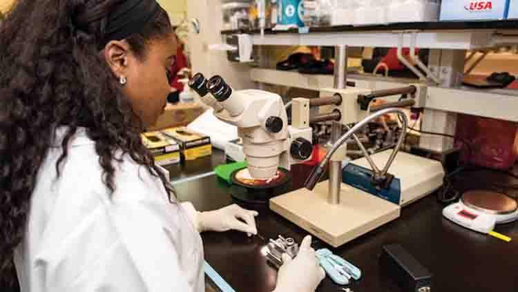 Person looking into a microscope