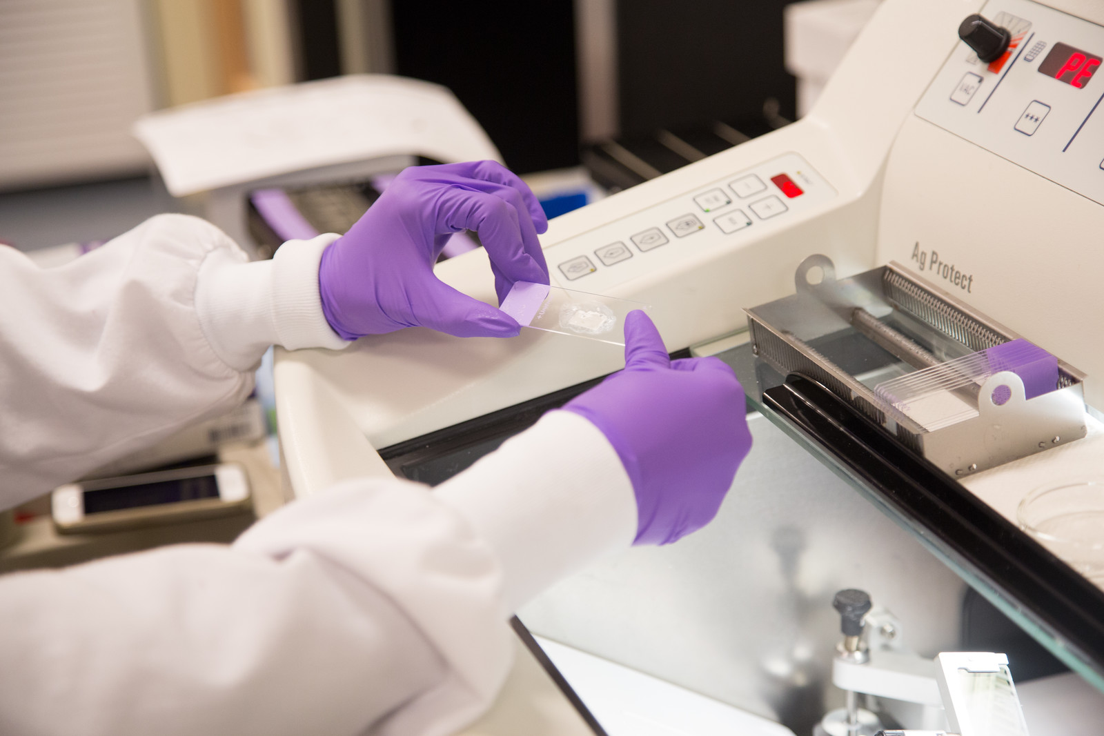 person's gloved hands holding a small slide next to scientific equipment in a lab setting