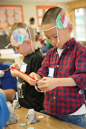 A child studying the brain