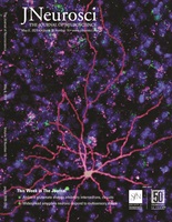 cover of JNeurosci