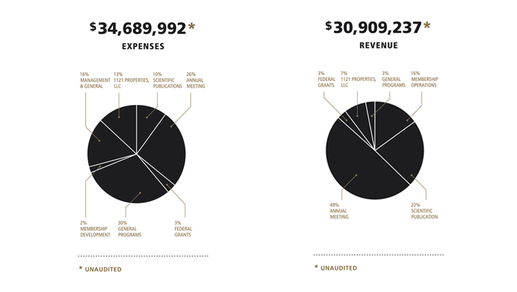 FY19 financials pie chart depicting SfN's expenses and revenue