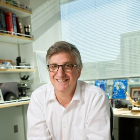 Headshot of Pat Levitt