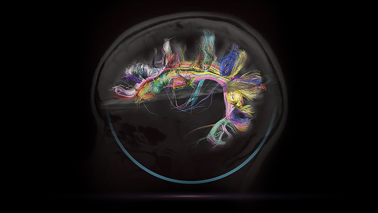 Generic science art