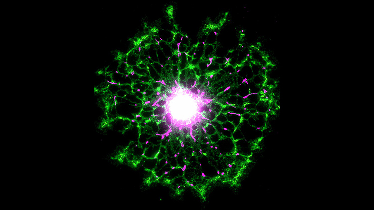 Generic science art
