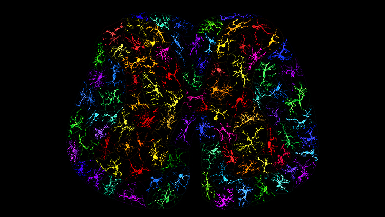 Generic science art