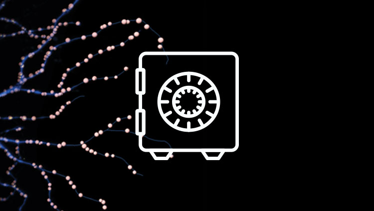 History of SfN Artifacts thumbnail