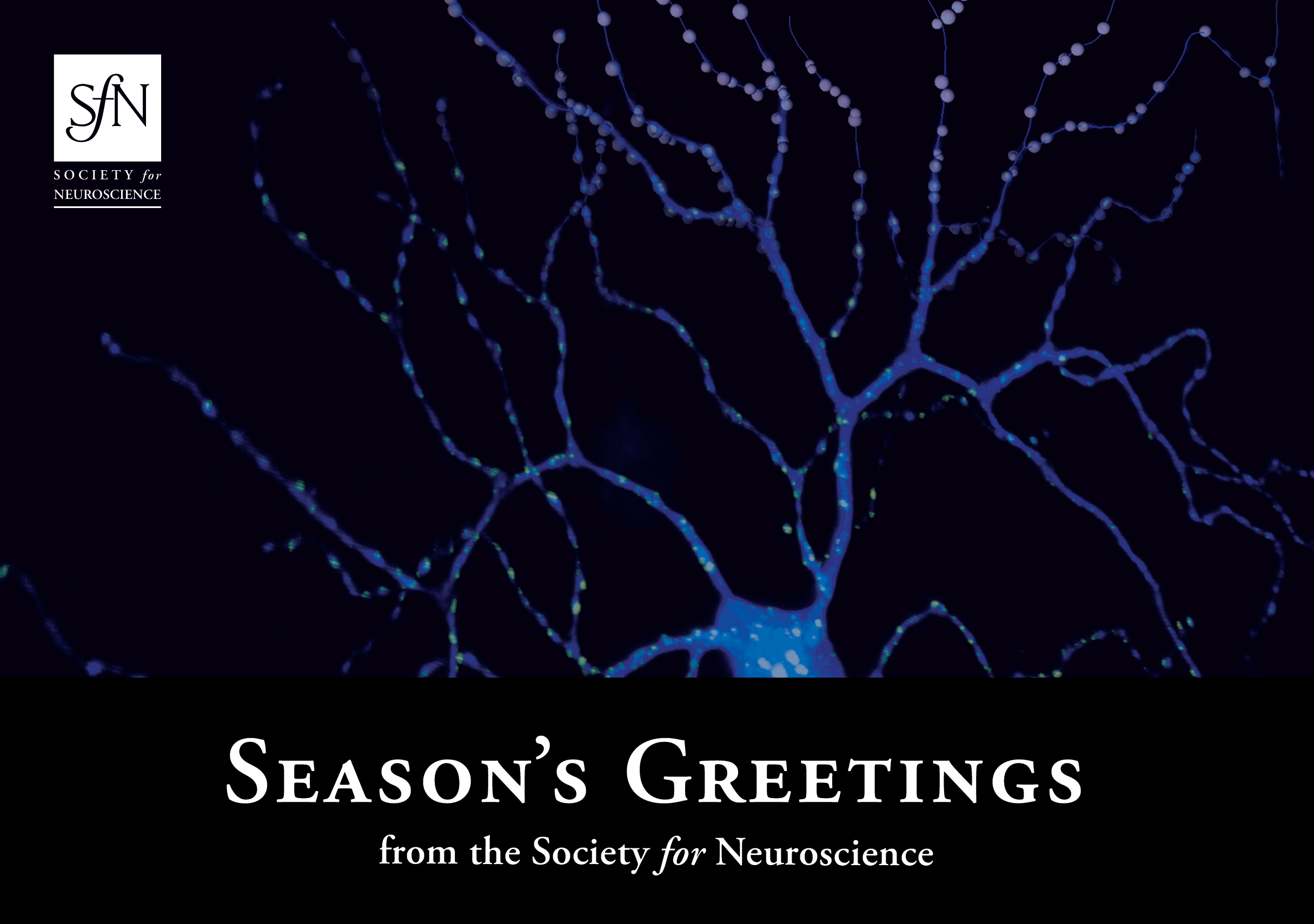 Season's greetings from the Society for Neuroscience
