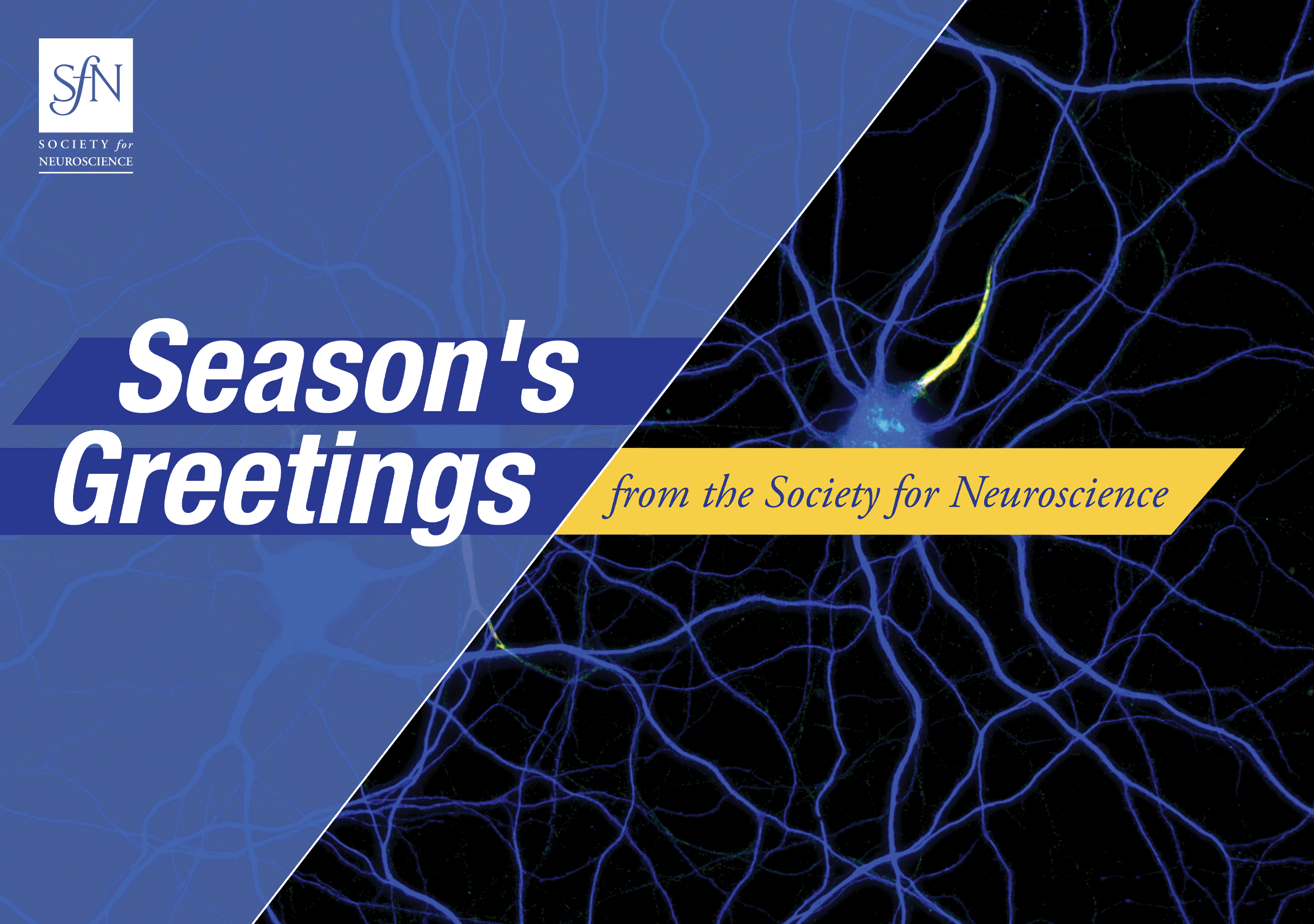Season's greetings from the Society for Neuroscience