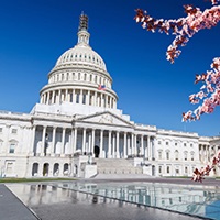 The United States Capitol Building