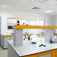 SfN Leadership Hosts Lab Tour for Senator Lindsey Graham’s Office
