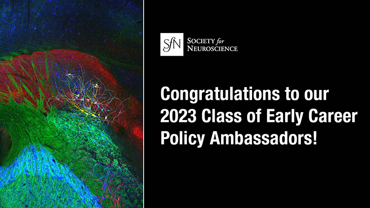 SfN Announces Early Career Policy Ambassadors Class of 2023