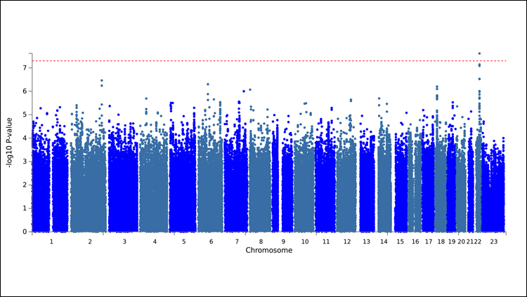 Largest-Ever Genetic Analysis of Impulsive Personality Traits Reveals Associations With Psychiatric Disorders