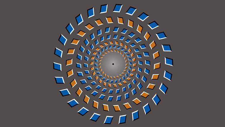 Brain Represents Optical Illusion as Delayed Reality