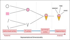 A Roadmap for Understanding Memory
