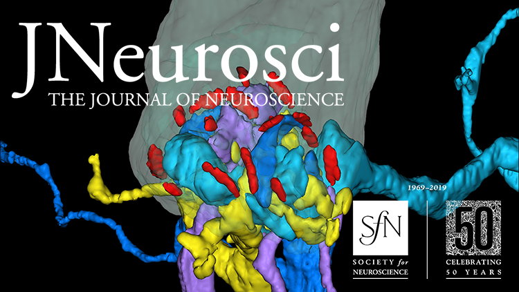 Society For Neuroscience Website Home Page - 