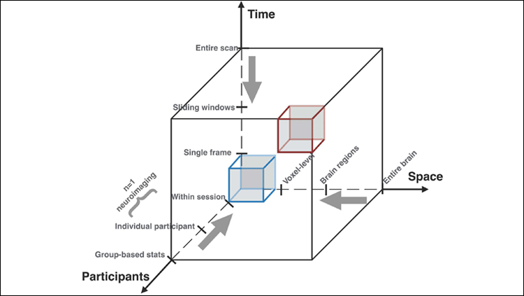 Improving clinical translation of psychiatric neuroimaging findings. Most neuroimaging studies average the data in time, space and across individuals (red cube). In the future, novel analytical methods (e.g., TDA) are needed to examine neuroimaging data at the highest spatiotemporal resolution (blue cube), with the hope that such methods can allow appropriate data-driven resolutions and insights.