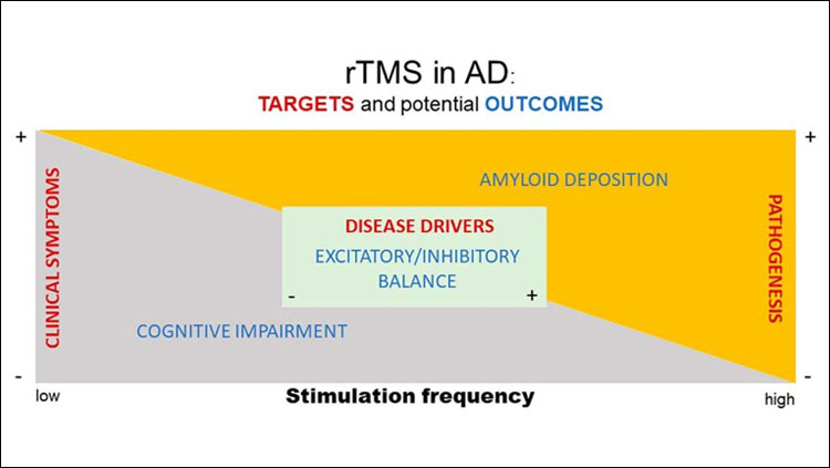 Schematic representation of target areas (red text) and potential outcome measures (blue text) to test rTMS as an intervention for AD. See text for further description.