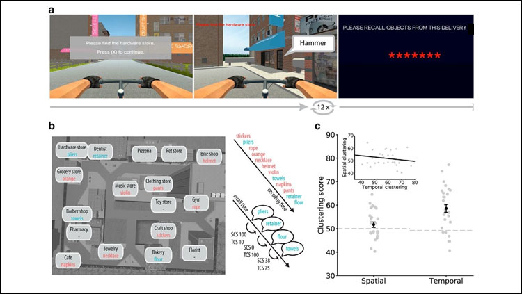 Figure 1. Task design and behavioral clustering. a, Hybrid spatial-episodic memory task in which subjects play the role of a courier. On each trial, subjects navigate to 12 different target stores to deliver parcels. Upon arrival, the just-delivered object is revealed. After 12 deliveries, subjects navigate to a final store. Here, the screen goes black and subjects attempt to freely recall all objects they delivered in any order. b, Bird's-eye view of the virtual city. Overlaid are store names together with a toy example list. For each recall transition, we calculate a spatial clustering score (SCS) and temporal clustering score (TCS) between 0 and 100 that reflects the spatial or temporal proximity between the recalled words during encoding. c, Clustering in recall sequences. Subjects organize their recalls with respect to spatial and temporal context information, as indicated by spatial and temporal clustering scores larger than the permutation average indicated by the dashed lines (higher scores are associated with closer recall transitions; see Materials and Methods). Error bars show SEM across subjects. Spatial and temporal clustering are uncorrelated across subjects (inset).