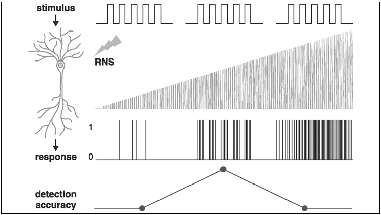 Figure from eNeuro entry "Transcranial Random Noise Stimulation Modulates Neural Processing of Sensory and Motor Circuits"