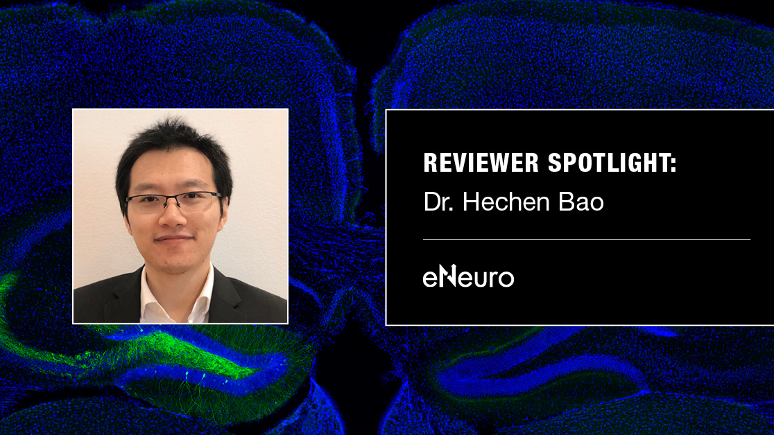 Photo of Dr. Hechen Bao on the left next to text on the right that reads: Reviewer Spotlight, Dr. Henchen Bao, eNeuro. The background is an unrelated blue and green scientific image.
