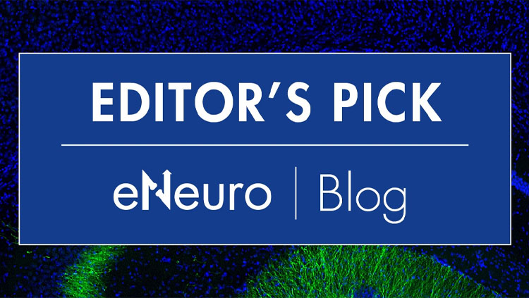 Editor's Pick eNeuro Blog