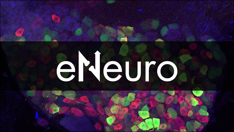 eNeuro - an open-access journal of the Society for Neuroscience