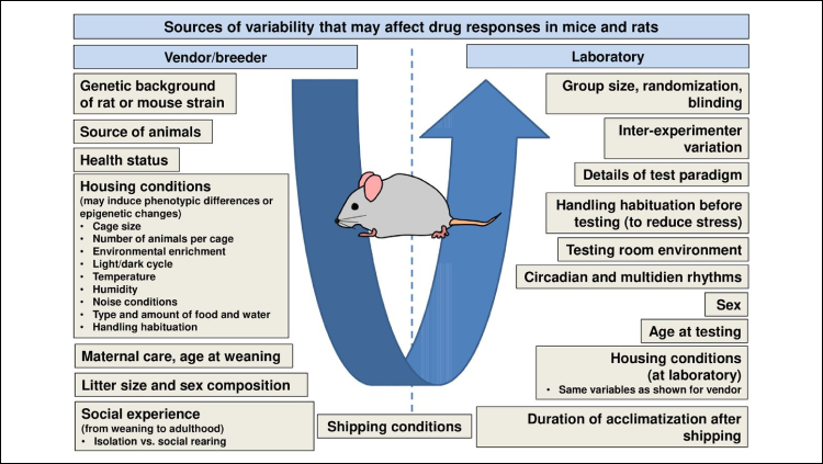 graphic about the inter-individual variability of the brain's response to drugs