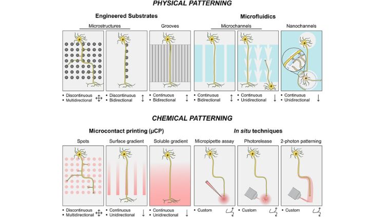 Physical and Chemical Patterning